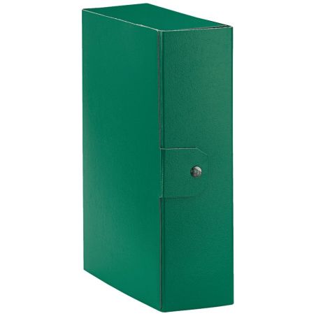 Esselte C30 EUROBOX Cartella per Progetti - 25 x 35 cm - Dorso 10 cm - Verde - Confezione da 1