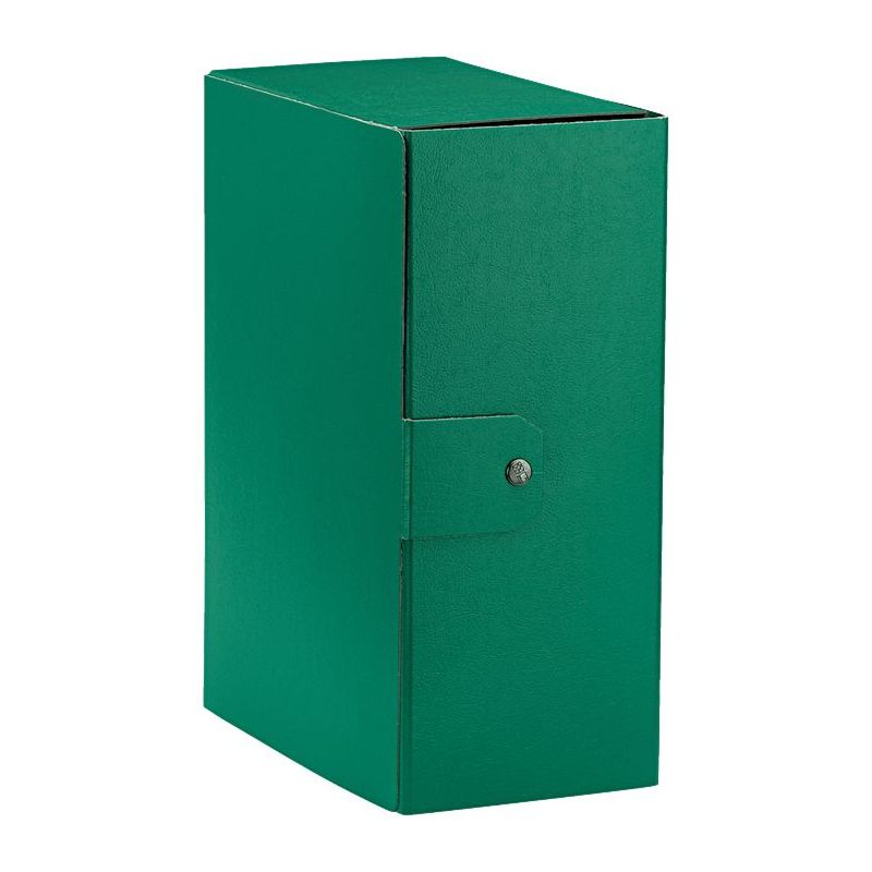 Esselte C35 EUROBOX Cartella per Progetti - 25 x 35 cm - Dorso 15 cm - Verde - Confezione da 1