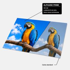 Bancale da 180 Risme Carta A4 80 gr Alphaink Prime